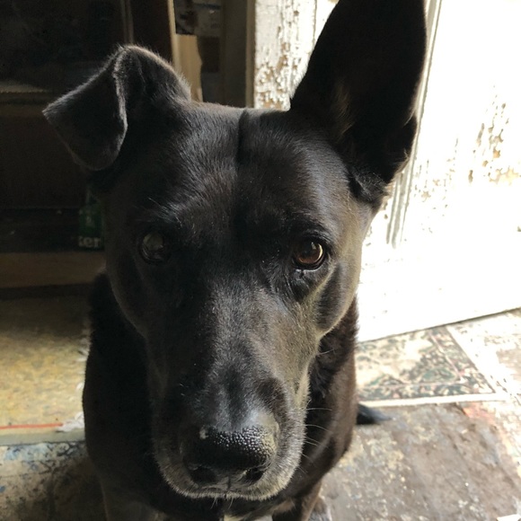 Meet your Posher, Kelly - Picture 2 of 10